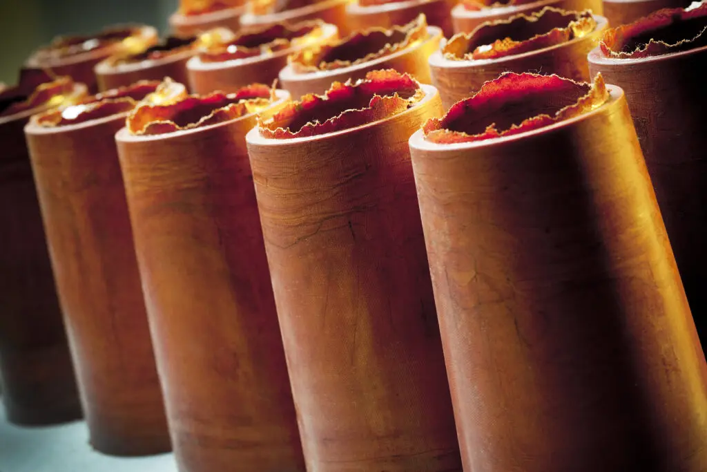 Close-up of several rolled sheets of brown fruit leather standing upright in rows, highlighting their texture, reminiscent of SRBF Material.